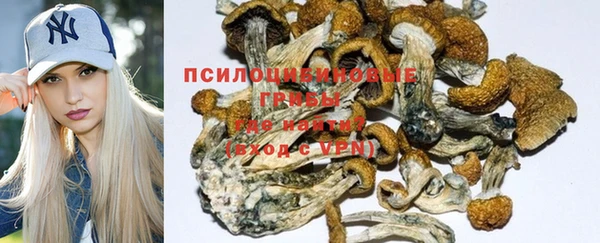 шишки Балахна
