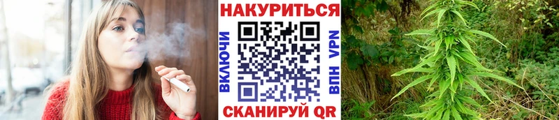 Шишки марихуана VHQ  OMG   Краснослободск 